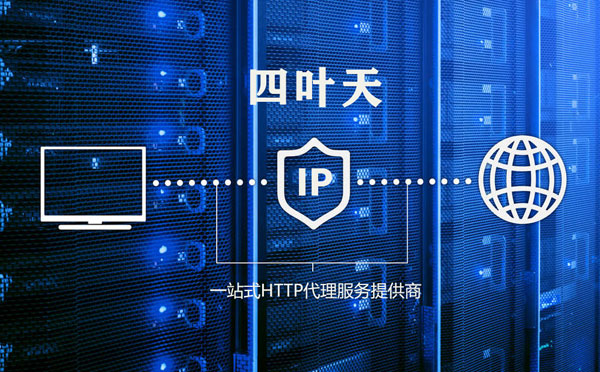 【莆田代理IP】代理IP的主要用途和使用注意事项